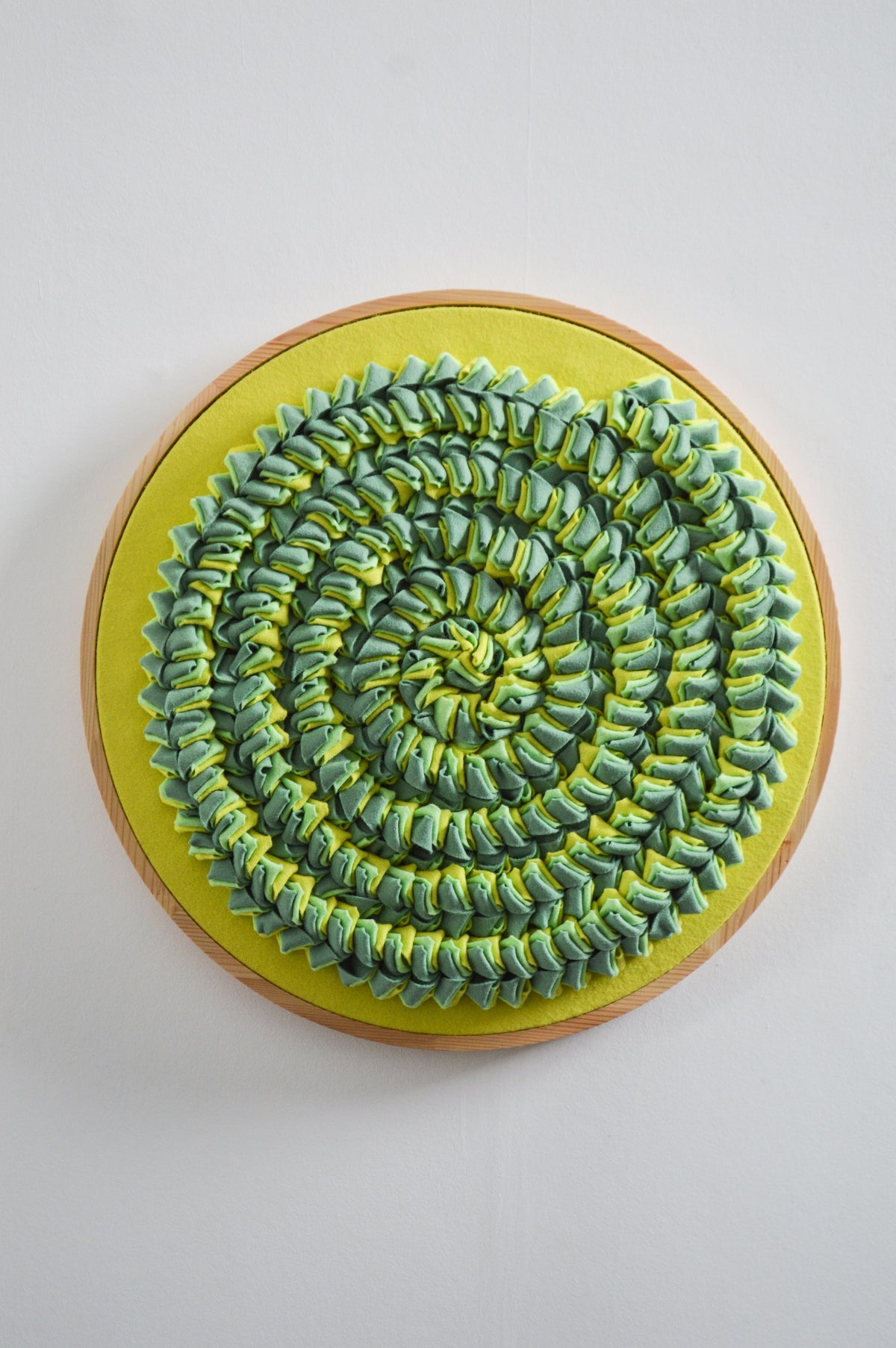 Ammonite II