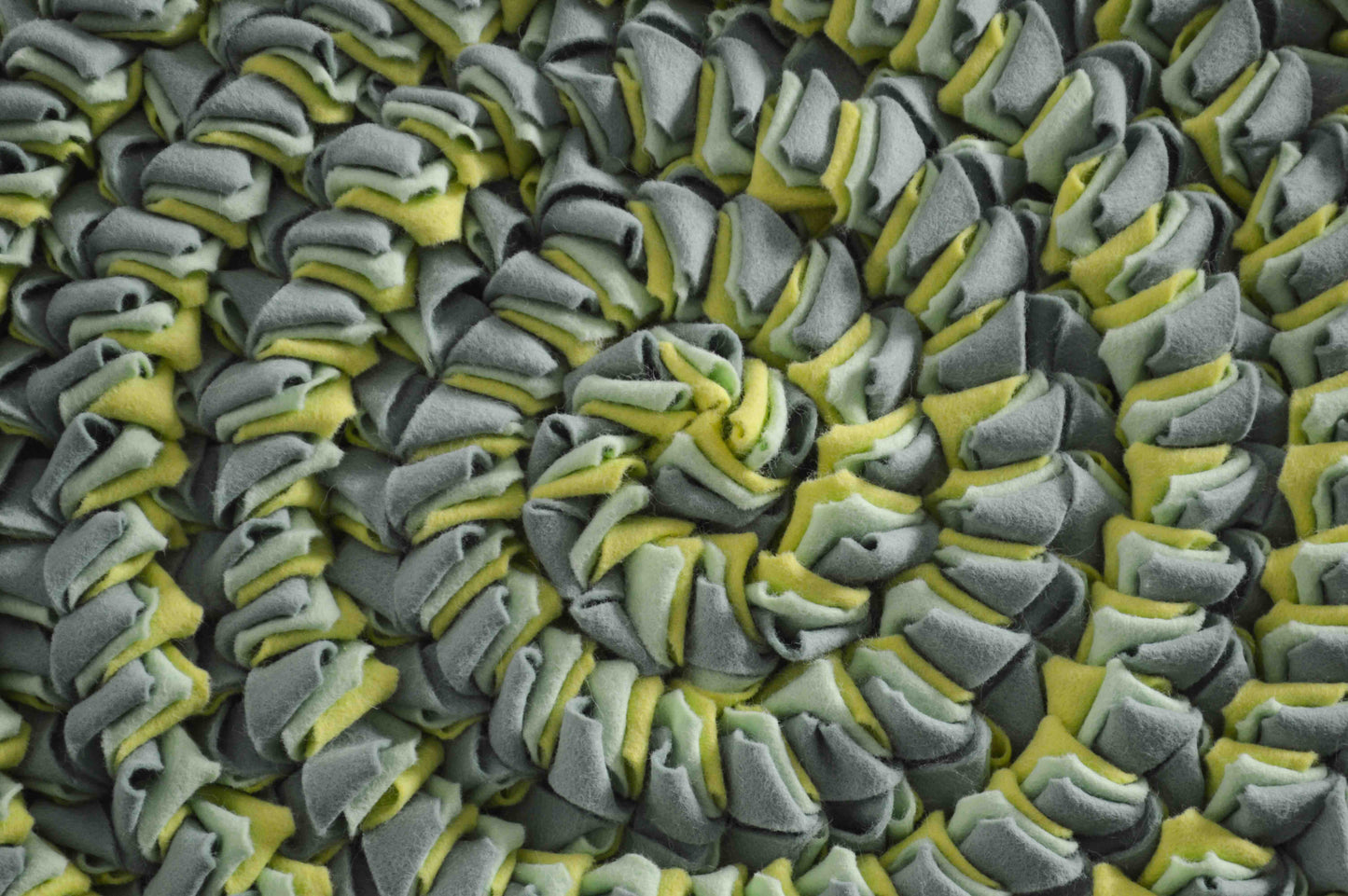 Ammonite