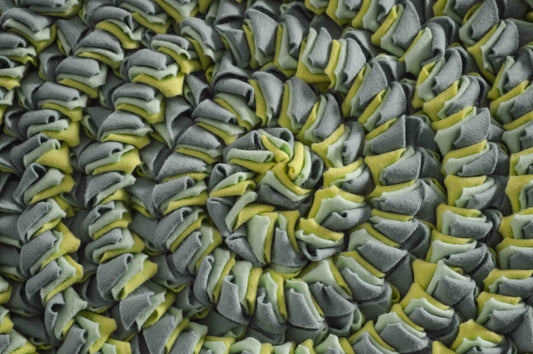 Ammonite