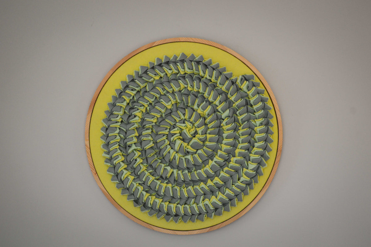 Ammonite II
