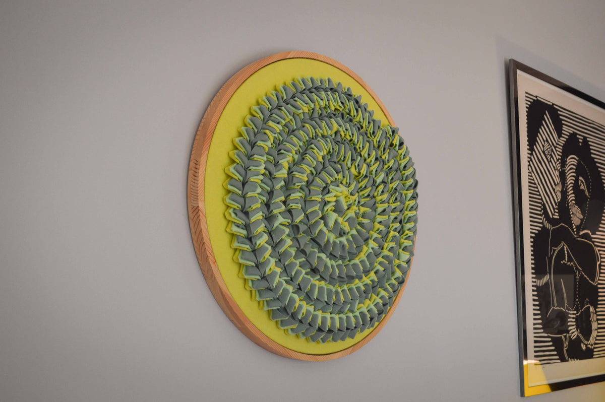 Ammonite II