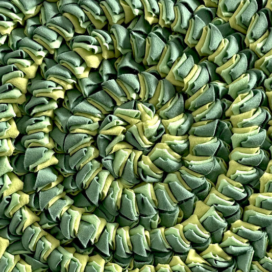 Ammonite II